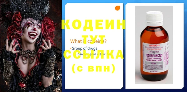 индика Белокуриха